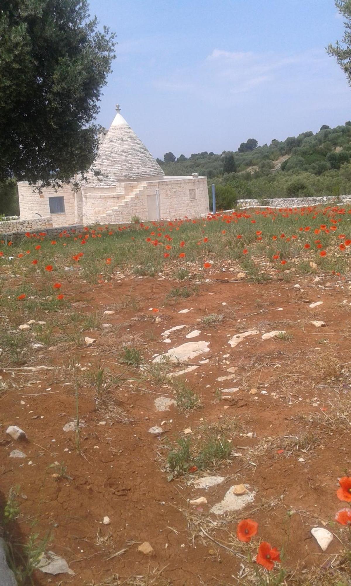Trullo Alto Salento Villa Cisternino Exteriör bild