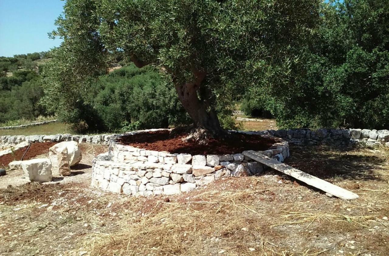 Trullo Alto Salento Villa Cisternino Exteriör bild